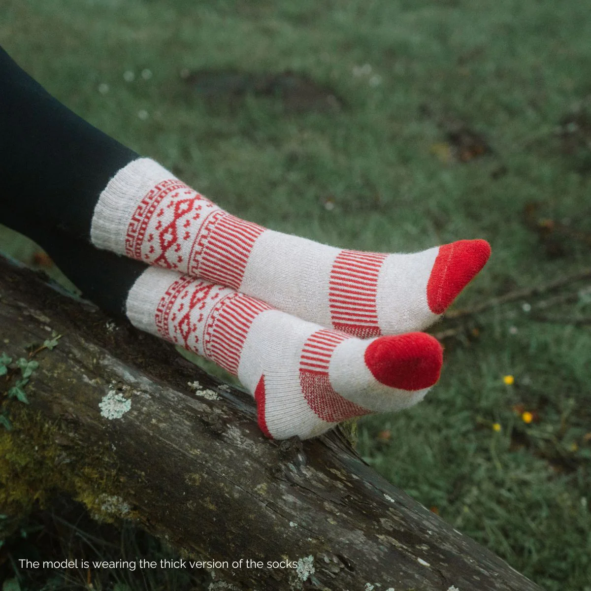 Adventurer (2 pairs) - Image 4