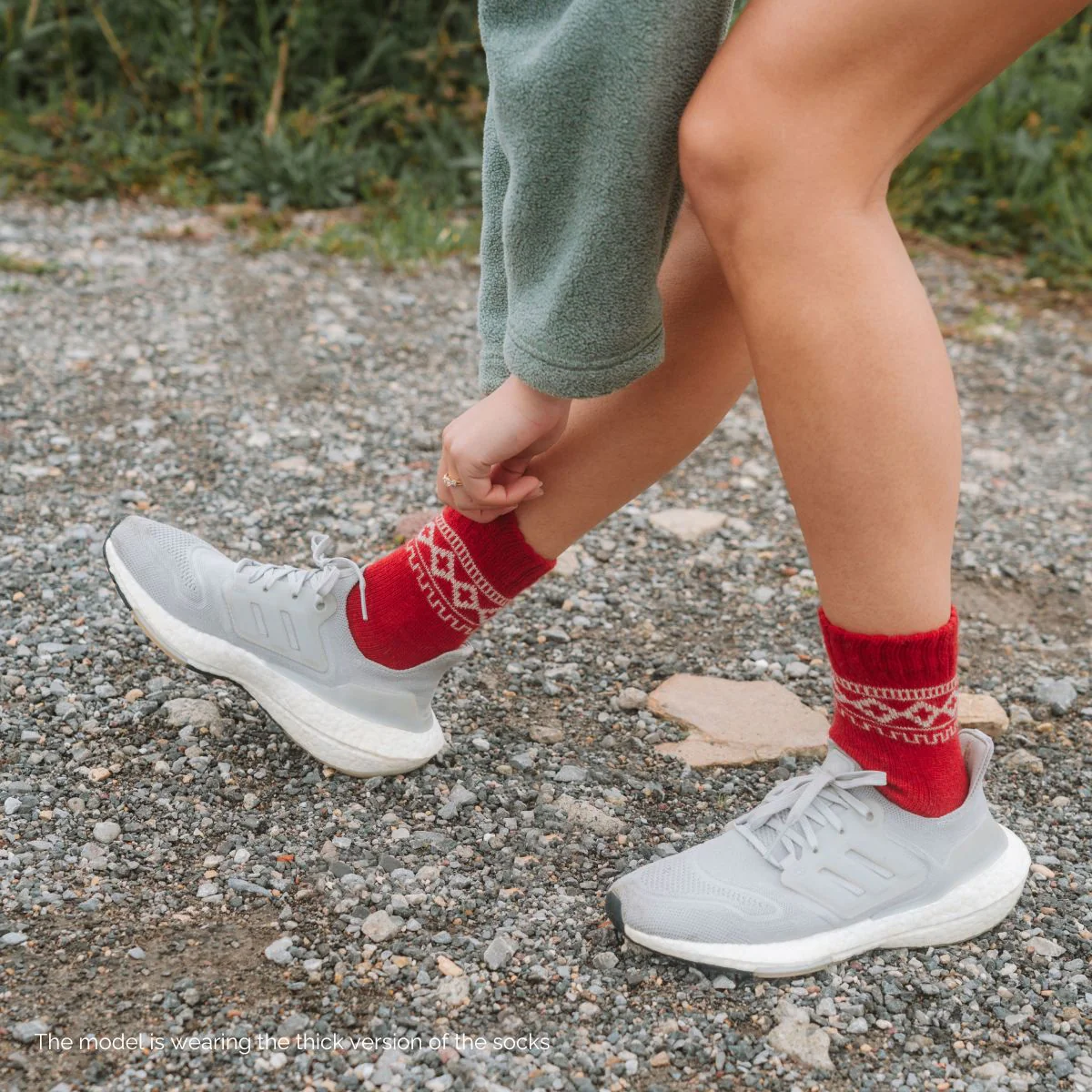Adventurer Low-Cut (2 pairs) - Image 4