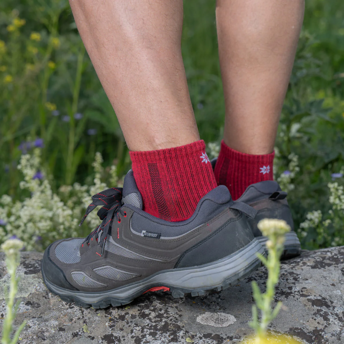 Hiking - Red Low-Cut (1 pair) - Image 6