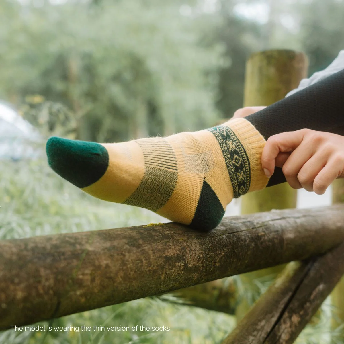 Traveler Low-Cut (2 pairs) - Image 6